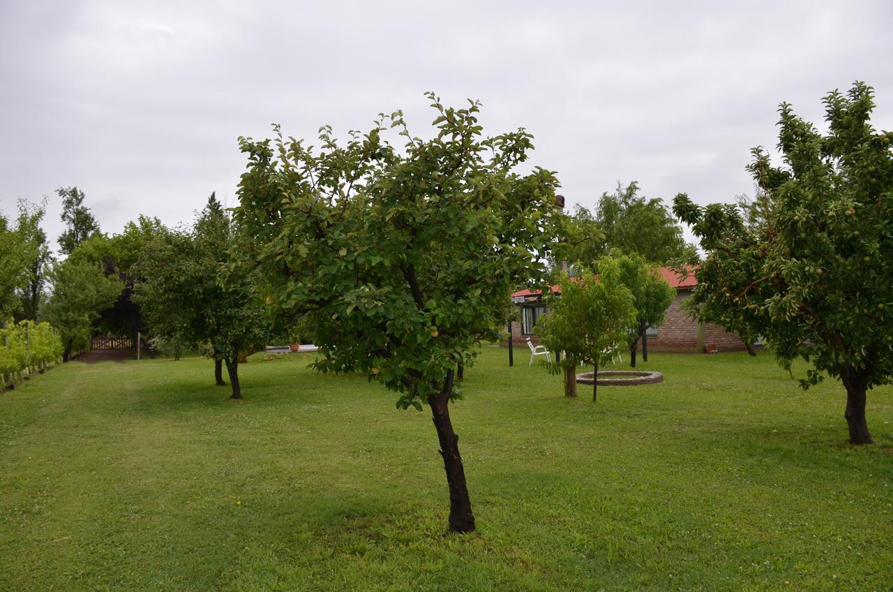Finca Fisterra Maipú Exterior foto